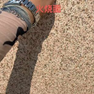 铜川黄金麻火烧面